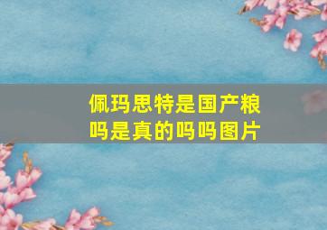 佩玛思特是国产粮吗是真的吗吗图片