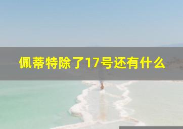 佩蒂特除了17号还有什么