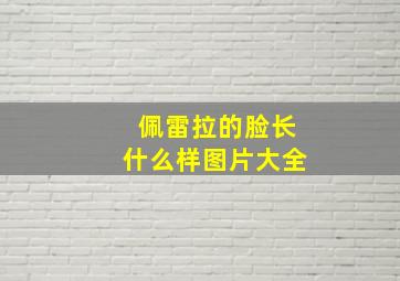 佩雷拉的脸长什么样图片大全