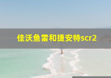 佳沃鱼雷和捷安特scr2