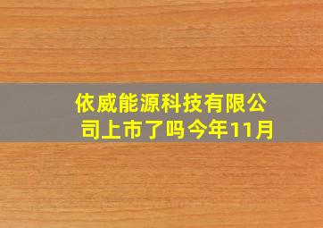 依威能源科技有限公司上市了吗今年11月