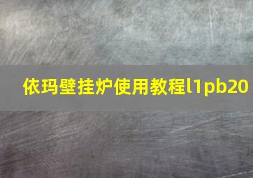 依玛壁挂炉使用教程l1pb20