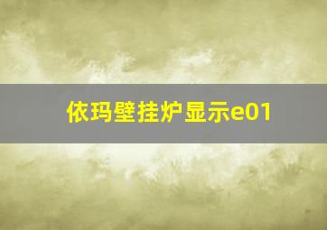 依玛壁挂炉显示e01