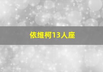 依维柯13人座