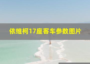 依维柯17座客车参数图片