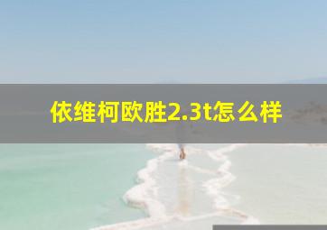 依维柯欧胜2.3t怎么样