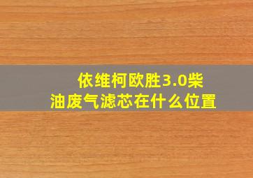 依维柯欧胜3.0柴油废气滤芯在什么位置