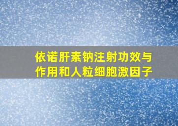 依诺肝素钠注射功效与作用和人粒细胞激因子