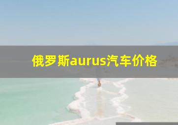 俄罗斯aurus汽车价格