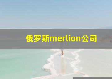 俄罗斯merlion公司