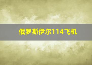 俄罗斯伊尔114飞机