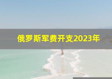 俄罗斯军费开支2023年