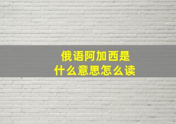 俄语阿加西是什么意思怎么读