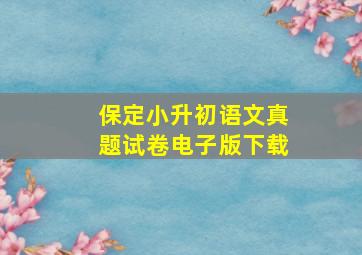 保定小升初语文真题试卷电子版下载