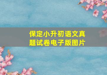 保定小升初语文真题试卷电子版图片