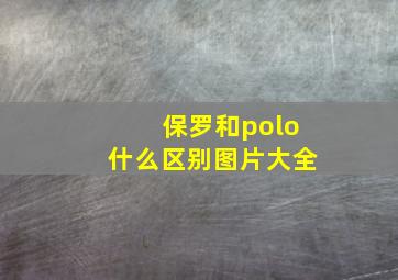 保罗和polo什么区别图片大全