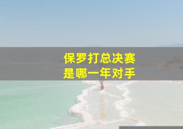 保罗打总决赛是哪一年对手