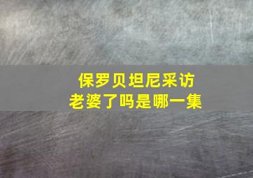 保罗贝坦尼采访老婆了吗是哪一集