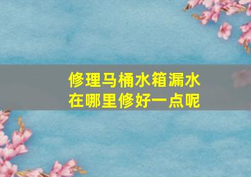 修理马桶水箱漏水在哪里修好一点呢