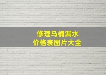 修理马桶漏水价格表图片大全