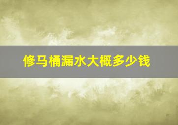 修马桶漏水大概多少钱