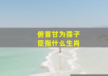 俯首甘为孺子臣指什么生肖