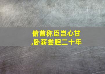 俯首称臣岂心甘,卧薪尝胆二十年