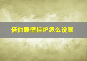 倍他暖壁挂炉怎么设置