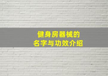 健身房器械的名字与功效介绍