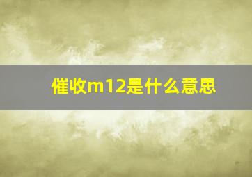 催收m12是什么意思