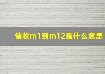 催收m1到m12是什么意思