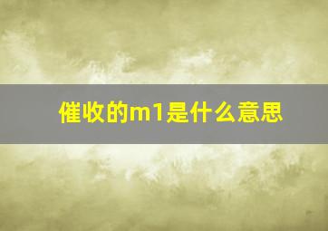 催收的m1是什么意思