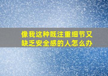 像我这种既注重细节又缺乏安全感的人怎么办