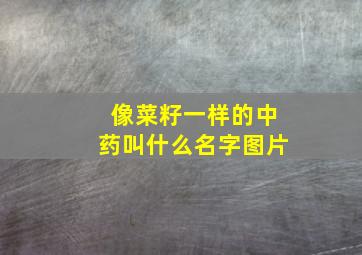 像菜籽一样的中药叫什么名字图片