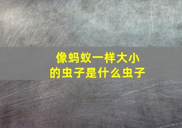 像蚂蚁一样大小的虫子是什么虫子