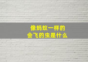 像蚂蚁一样的会飞的虫是什么