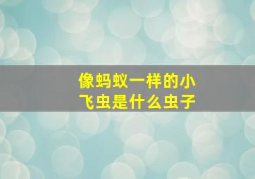 像蚂蚁一样的小飞虫是什么虫子