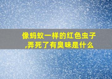 像蚂蚁一样的红色虫子,弄死了有臭味是什么