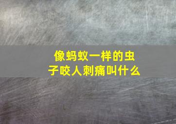 像蚂蚁一样的虫子咬人刺痛叫什么