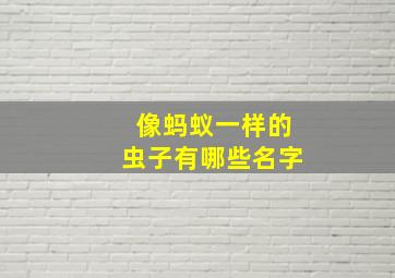 像蚂蚁一样的虫子有哪些名字