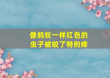 像蚂蚁一样红色的虫子被咬了特别痒