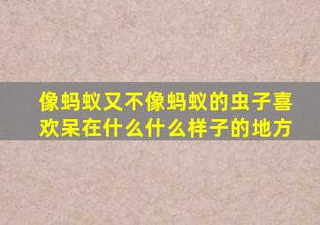 像蚂蚁又不像蚂蚁的虫子喜欢呆在什么什么样子的地方