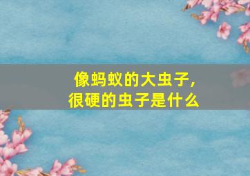 像蚂蚁的大虫子,很硬的虫子是什么