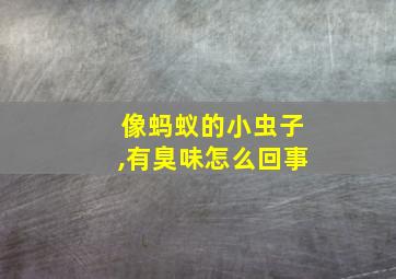 像蚂蚁的小虫子,有臭味怎么回事