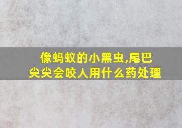 像蚂蚁的小黑虫,尾巴尖尖会咬人用什么药处理