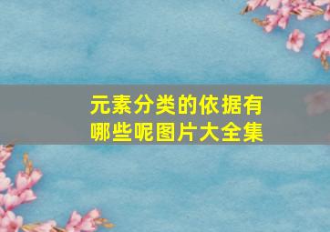 元素分类的依据有哪些呢图片大全集