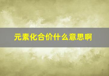 元素化合价什么意思啊