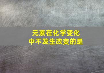 元素在化学变化中不发生改变的是