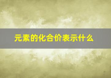 元素的化合价表示什么