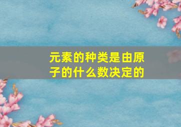 元素的种类是由原子的什么数决定的